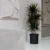 Max Classic Schwarz
