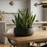 Eileen Black Washed Finestgreen 