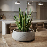 Eileen Grey Washed Finestgreen 