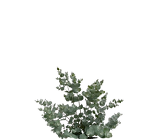 Konfigurator