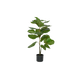 100 cm