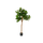 Ficus Lyrata Geigenfeige Künstlich H: 150cm