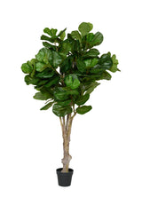 Ficus Lyrata Geigenfeige Künstlich H: 180cm - Finestgreen