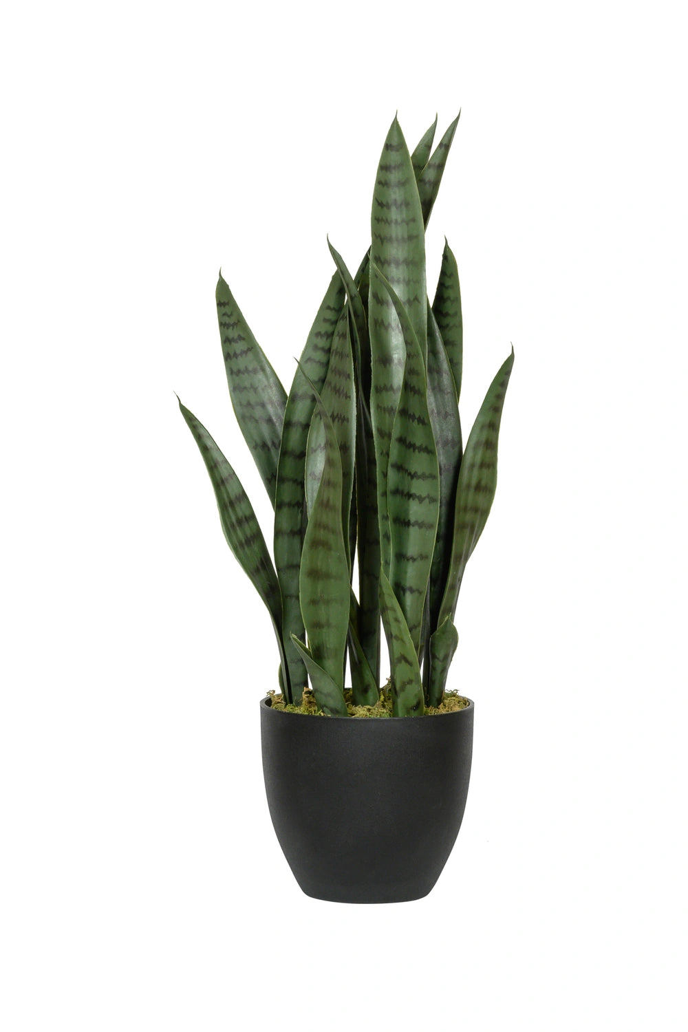 Sansevieria Künstlich - Künstliche Pflanzen