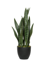 Sansevieria Künstlich H: 70cm - Finestgreen