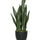 Sansevieria Künstlich H: 70cm - Finestgreen
