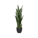 Sansevieria Künstlich H: 85cm