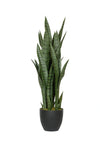 Sansevieria Künstlich H: 85cm