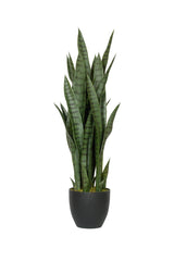 Sansevieria Künstlich H: 85cm - Finestgreen