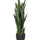 Sansevieria Künstlich H: 85cm - Finestgreen