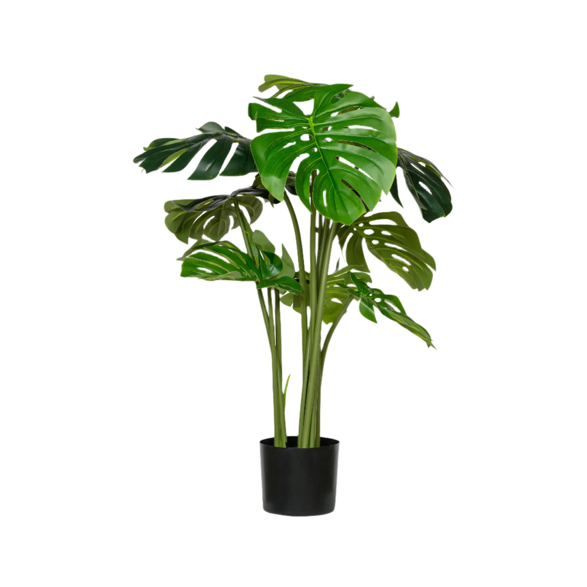 monstera pflanze künstlich Monstera Künstlich - Künstliche Pflanzen