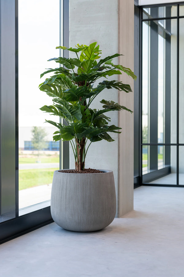 Monstera Pertusum künstlich, H: 140cm