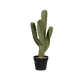 72 cm