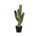 Kaktus Cereus Künstlich H: 72cm