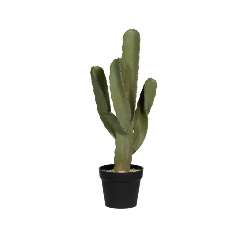 Kaktus Cereus Künstlich H: 72cm