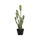 Kaktus Opuntia Künstlich H: 41cm