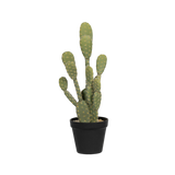 Kaktus Opuntia Künstlich H: 72 cm