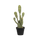 Kaktus Opuntia Künstlich H: 72 cm