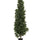 Lorbeer Kunstpflanze L 150cm - Finestgreen