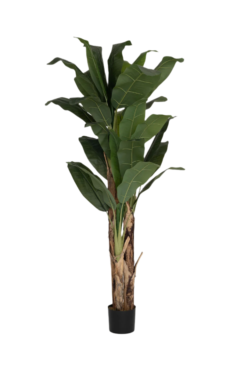 Bananenbaum Künstlich H: 205cm