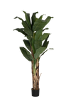 Bananenbaum Künstlich H: 220cm