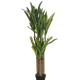 120 cm