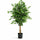 Ficus Baum Künstlich H: 120cm Finestgreen