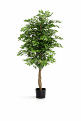 Ficus Baum Künstlich H: 180cm Finestgreen 