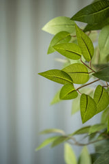 Ficus Baum Künstlich H: 120cm - Finestgreen
