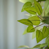Ficus Baum Künstlich H: 120cm - Finestgreen