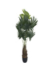 Palme Künstlich H: 160cm