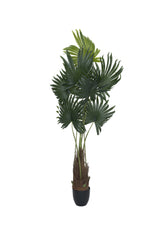 Palme Künstlich H: 160cm - Finestgreen