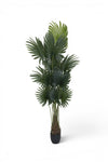 Palme Künstlich H: 200cm