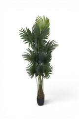 Palme Künstlich H: 200cm - Finestgreen
