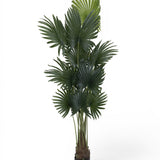 Palme Künstlich H: 200cm - Finestgreen