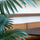 Palme Künstlich H: 220cm - Finestgreen