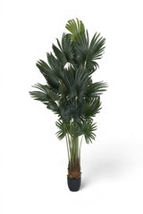 Finestgreen künstliche Palme, 220cm hoch, mit biegbaren dunkelgrünen Wedeln in schwarzem Topf.