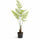 Farne Künstlich H: 120cm Finestgreen