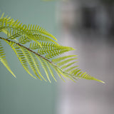 Farne Künstlich H: 150cm - Finestgreen