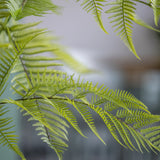 Farne Künstlich H: 180cm - Finestgreen