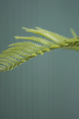 Farne Künstlich H: 200cm - Finestgreen