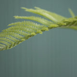 Farne Künstlich H: 200cm - Finestgreen
