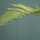 Farne Künstlich H: 150cm - Finestgreen