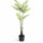 Farne Künstlich H: 180cm Finestgreen