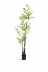 Farne Künstlich H: 200cm Finestgreen 