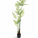 Farne Künstlich H: 200cm Finestgreen 