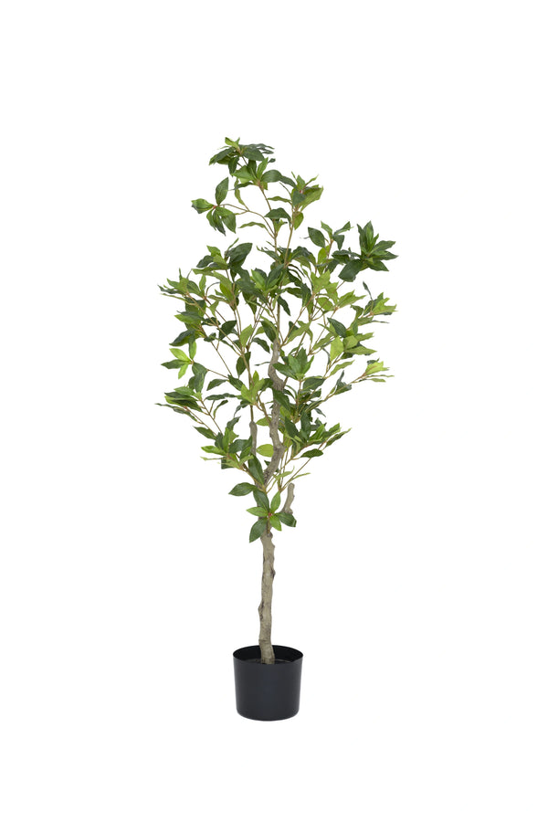 Pieris künstlich, H: 130cm