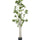 Pieris Künstlich H: 155cm - Finestgreen