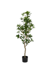 Pieris Künstlich H: 130cm