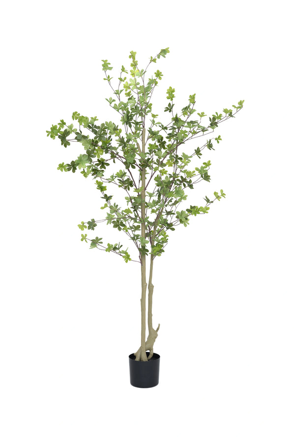 Enkianthus perulatus Kunstpflanze M 180cm